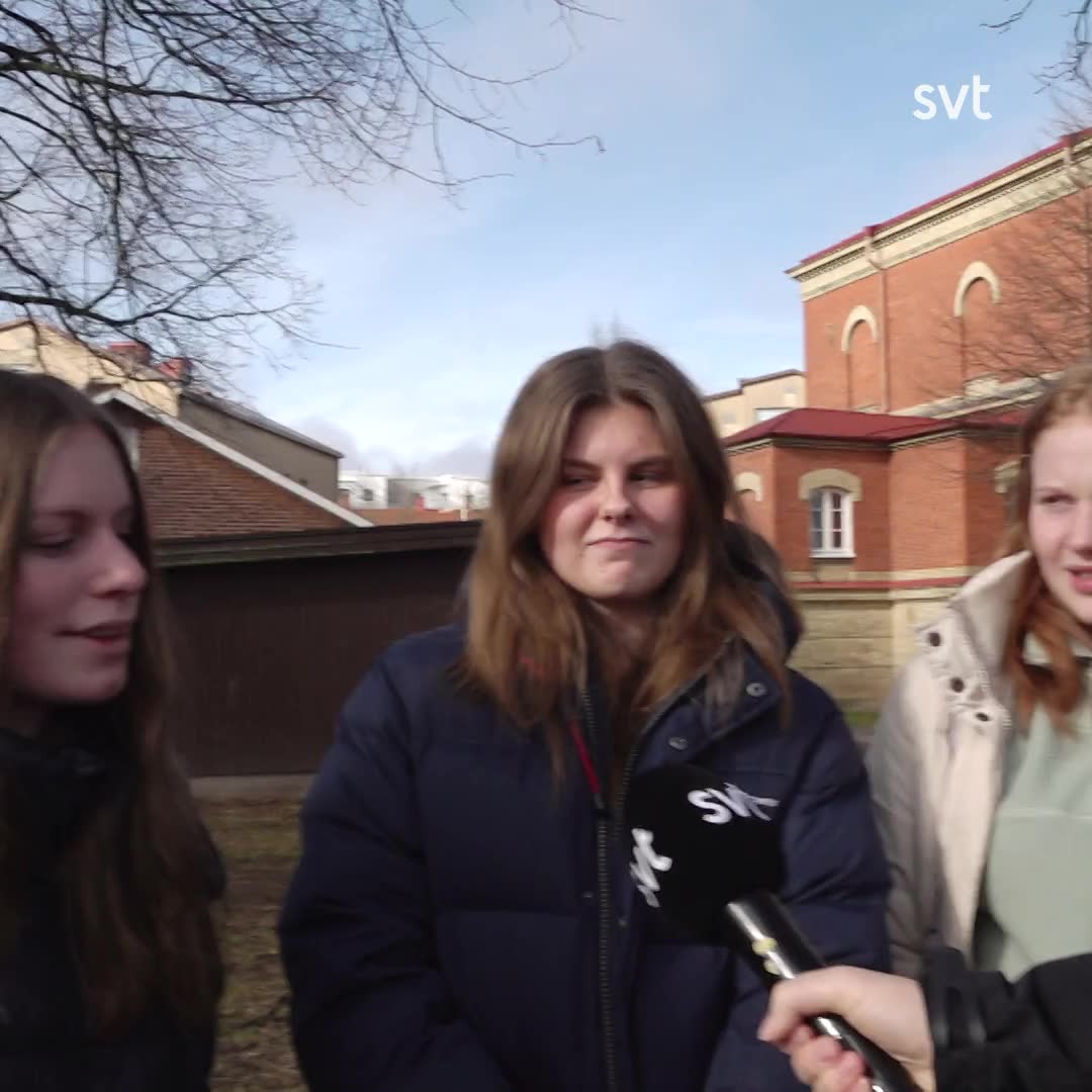 Halmstads skolelever: Hur påverkar man politiker?